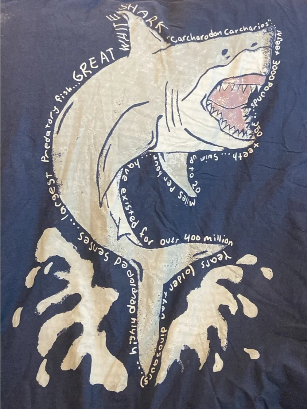 Pottery Barn Kids Navy and White Shark Comforter